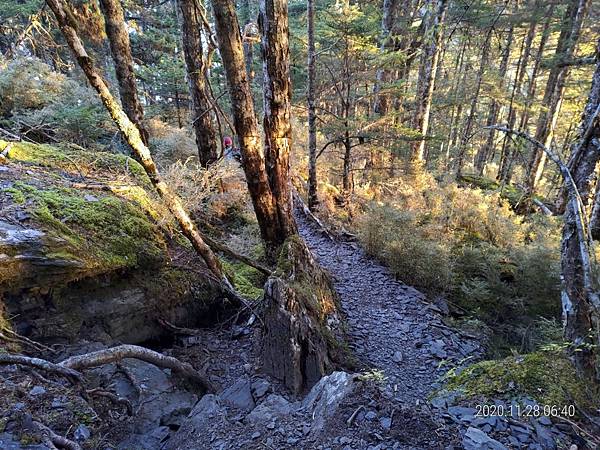 20201128 武陵四秀Day 3 詩崙山，喀拉業山_201204_10.jpg