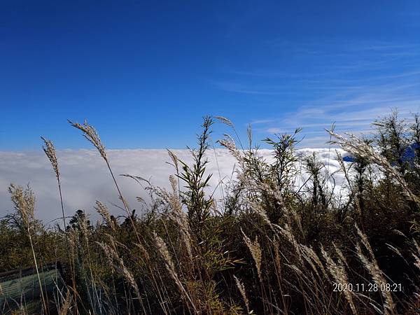 20201128 武陵四秀Day 3 詩崙山，喀拉業山_201204_27.jpg