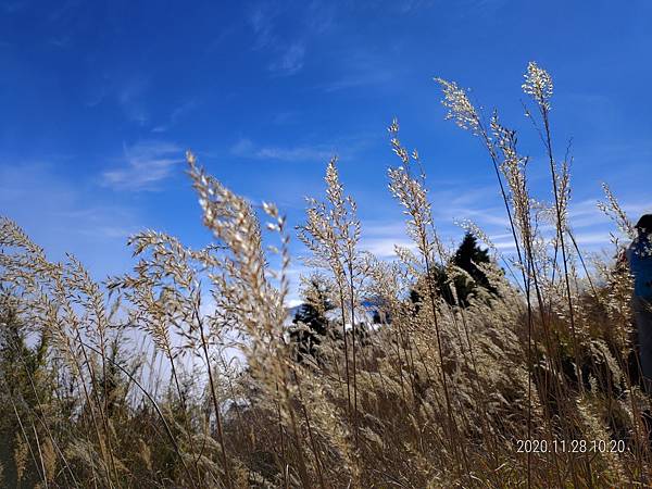 20201128 武陵四秀Day 3 詩崙山，喀拉業山_201204_56.jpg