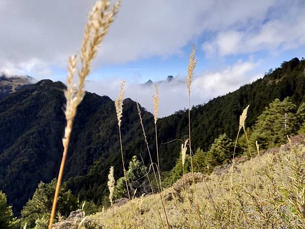 20201128 武陵四秀Day 3 詩崙山，喀拉業山_201204_113.jpg