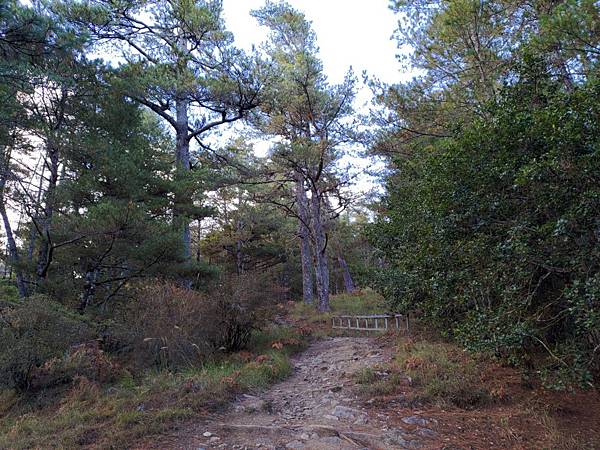 20201128 武陵四秀Day 3 詩崙山，喀拉業山_201204_153.jpg