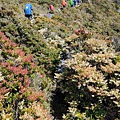 20210326 嘉明湖 D2_210331_720.jpg
