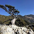 20210326 嘉明湖 D2_210331_606.jpg