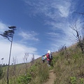 IMG_20210502_091020.jpg