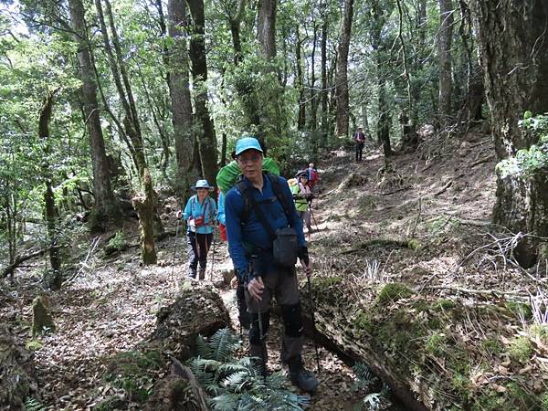 20210502馬武佐野郡山-羅馬神木_210507_28.jpg