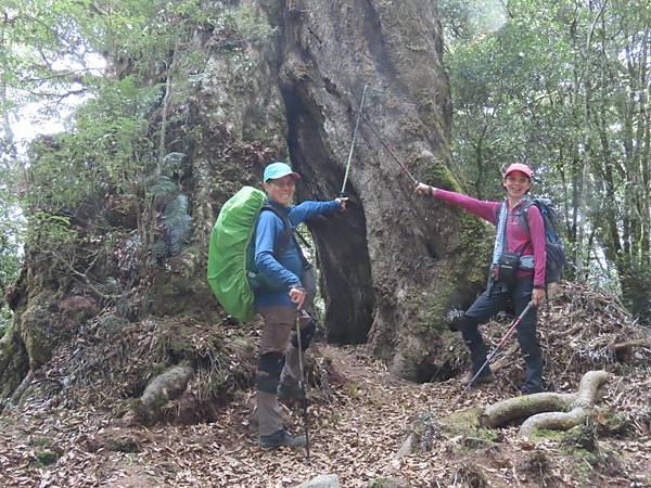 20210502馬武佐野郡山-羅馬神木_210507_38.jpg