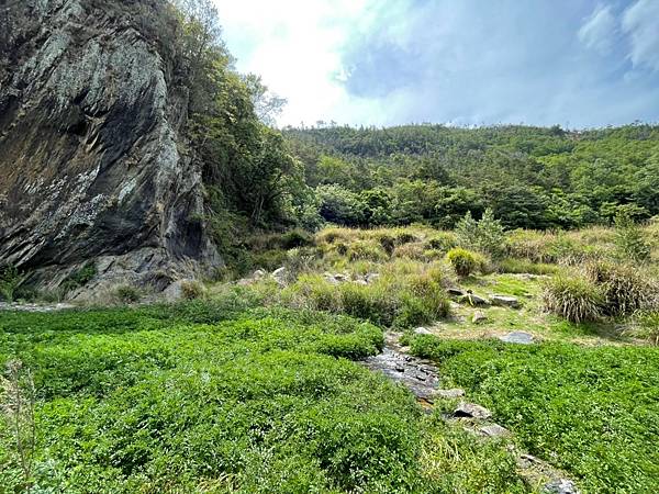 20210502馬武佐野郡山-羅馬神木_210507_126.jpg