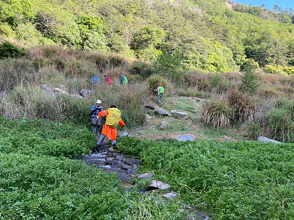 20210502馬武佐野郡山-羅馬神木_210507_147.jpg