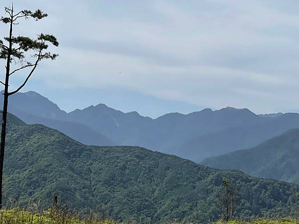 20210502馬武佐野郡山-羅馬神木_210507_183.jpg