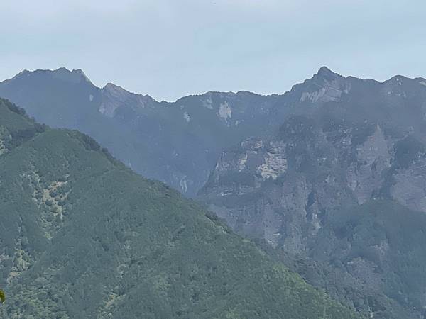 20210502馬武佐野郡山-羅馬神木_210507_175.jpg