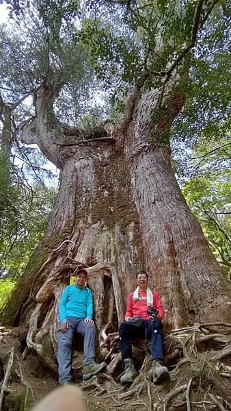 20210502馬武佐野郡山-羅馬神木_210507_197.jpg