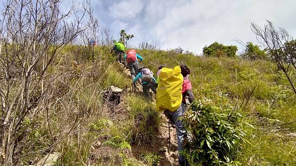 20210502馬武佐野郡山-羅馬神木_210507_289.jpg