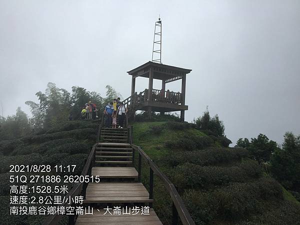 20210828南投鹿谷 樟空崙山、銀杏步道_210901_103.jpg