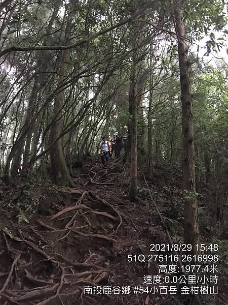 20210829南投鹿谷_54小百岳 金柑樹山、嶺頭山+Peter生日快樂_210901_285.jpg