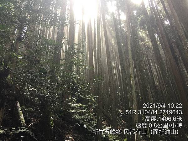 20210904新竹五峰鄉民都有山(面托油山)_210908_9.jpg