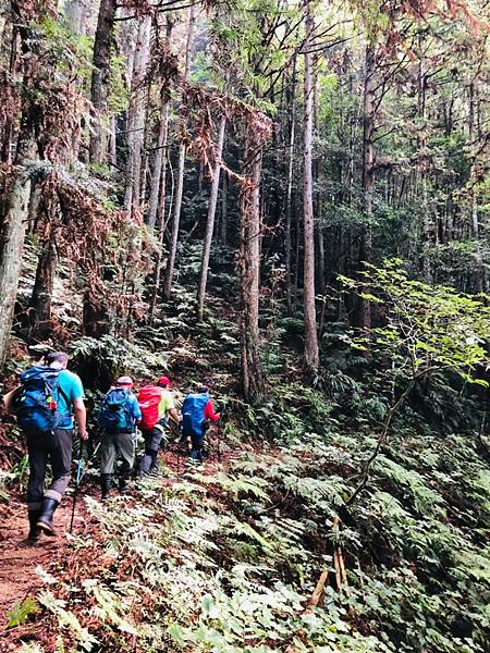 20210904新竹五峰鄉民都有山(面托油山)_210908_46.jpg