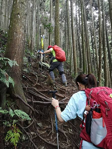 20210904新竹五峰鄉民都有山(面托油山)_210908_108.jpg