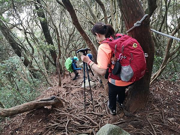 LINE_ALBUM_20210920台中和平區橫嶺山+小雪山天池_210923_80.jpg