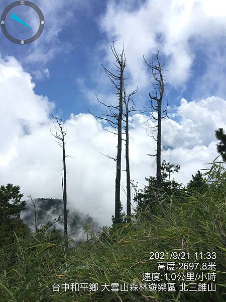 LINE_ALBUM_20210921台中和平區大雪山遊樂園區200林道   北三錐山_210923_179.jpg