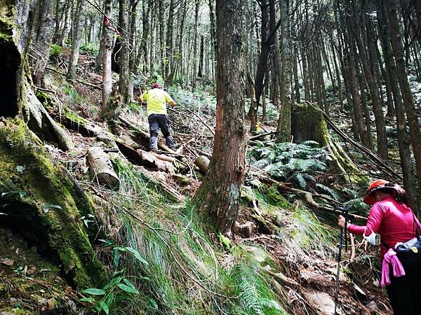 LINE_ALBUM_20210921台中和平區大雪山遊樂園區200林道   北三錐山_210923_75.jpg