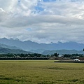 LINE_ALBUM_玉里行_211103_91.jpg