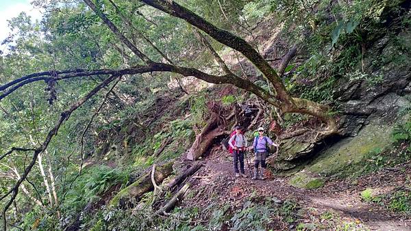 LINE_ALBUM_瓦拉米_211104_37.jpg