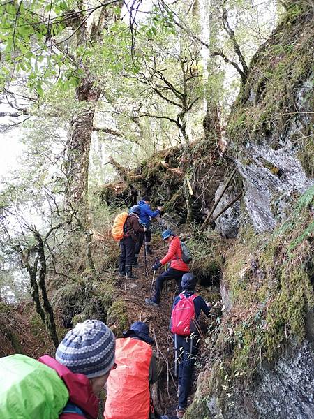 20211218卯木山＋觀雲肉粽碧綠神木_211222.jpg