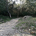 LINE_ALBUM_20220226 苗栗火炎山_220303_122.jpg