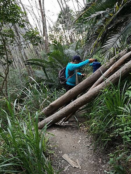 LINE_ALBUM_20220227 虎山_220304_183.jpg