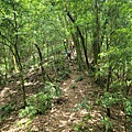 20220430_124340.jpg