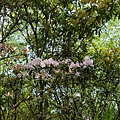 20220430_125043.jpg