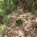 20220430_125012.jpg