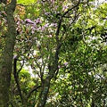 20220430_125128.jpg