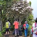 20220430_125445.jpg