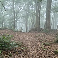 20220430_140635.jpg