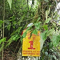 1050.jpg