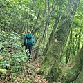 0943-15.jpg