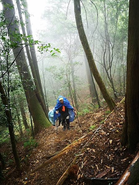 20231112 新竹五峰鄉油羅山