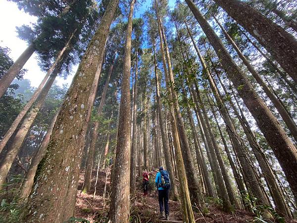 20231112 新竹五峰鄉油羅山