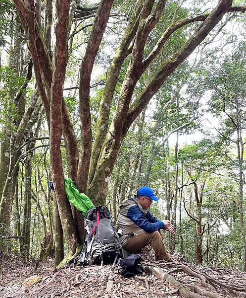 20231112 新竹五峰鄉油羅山