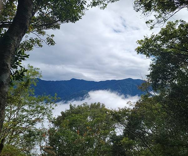 20231112 新竹五峰鄉油羅山