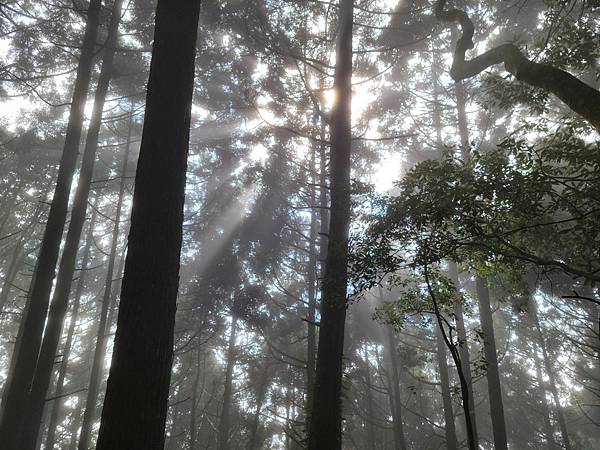 20231112 新竹五峰鄉油羅山