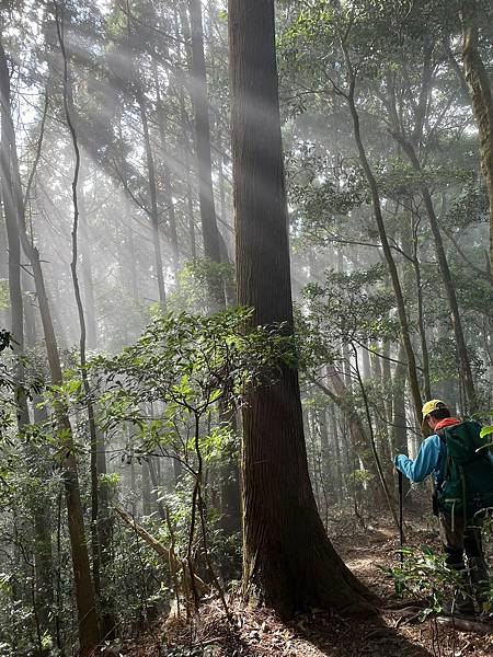 20231112 新竹五峰鄉油羅山