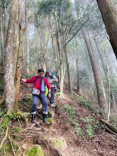 20231112 新竹五峰鄉油羅山