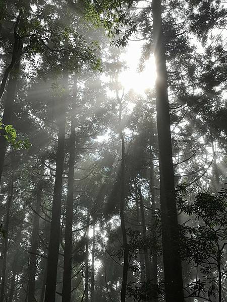 20231112 新竹五峰鄉油羅山