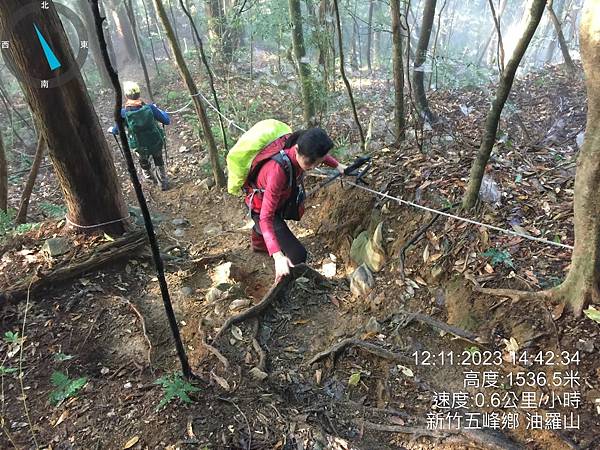 20231112 新竹五峰鄉油羅山