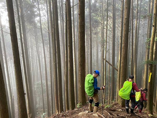 20231112 新竹五峰鄉油羅山