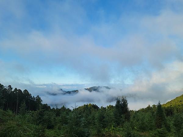 20231112 新竹五峰鄉油羅山