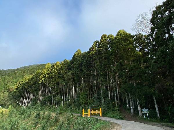 20231112 新竹五峰鄉油羅山