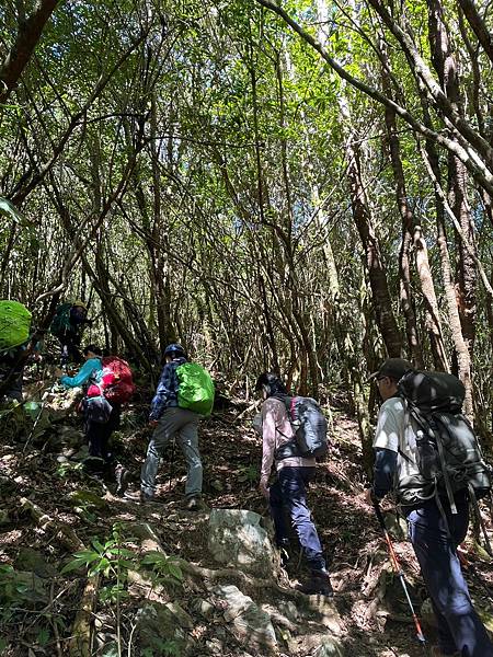 20231119 新竹尖石鄉 #28小百岳 李棟山